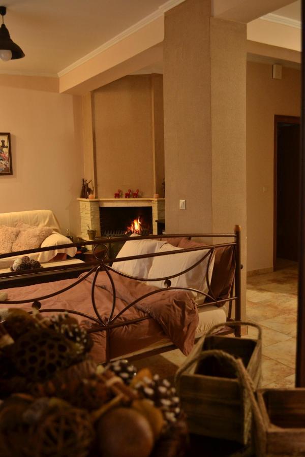 Appartement Harmony à Tríkala Extérieur photo